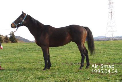 ����� ����