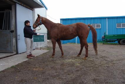 ���̽��� ����