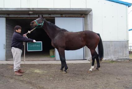 ������ ����