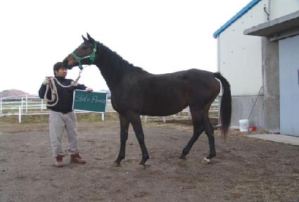 ������Ʈ�ö�� ����