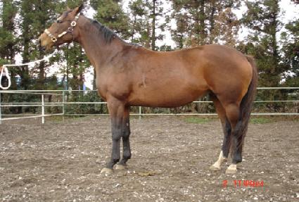 �����̿� ����