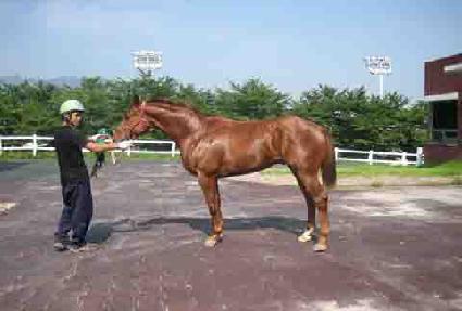 �������� ����