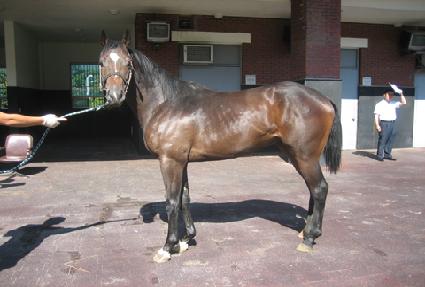 �����и��� ����