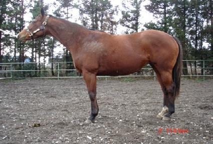 ���ϥ� ����