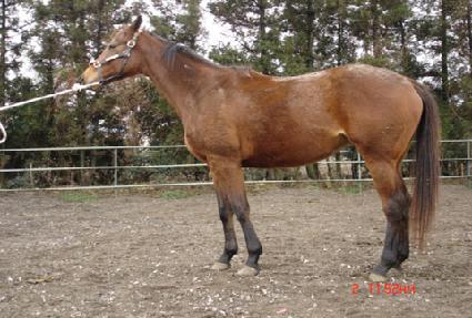 �̽��۸��� ����