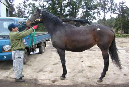 �𳪹̱� ����