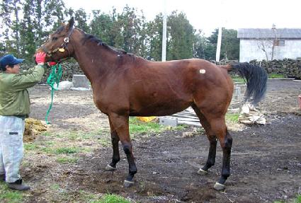 �߾߼����� ����