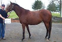 ANOTHER PRINCESS picture