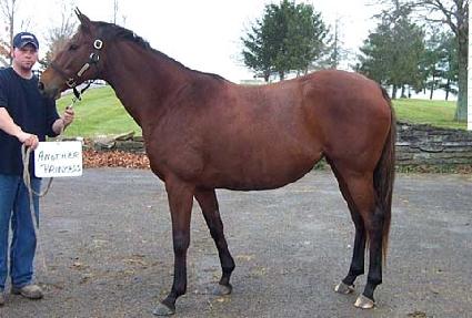 ����������� ����