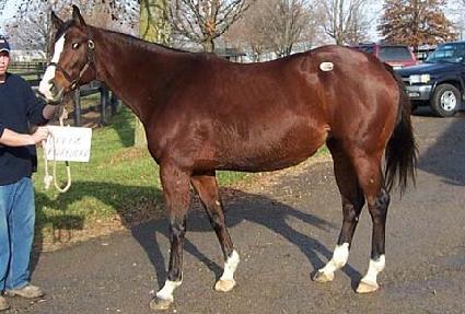 ��þ�� ����