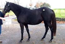 �긮¡�� (BREEZING UP) ����