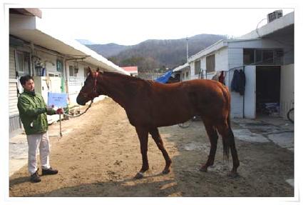 ���Ӵϸ���Ŀ ����