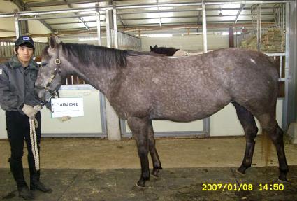 ī����� ����