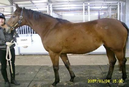 �ĴϾ� ����