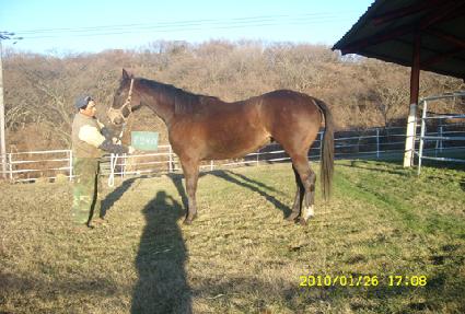 ���ѳ��� ����