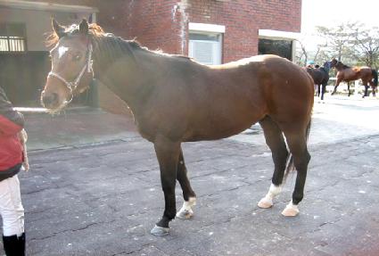 ���ǽô� ����