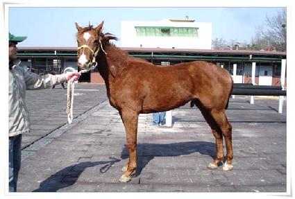 Ȳ�ݵ��� ����