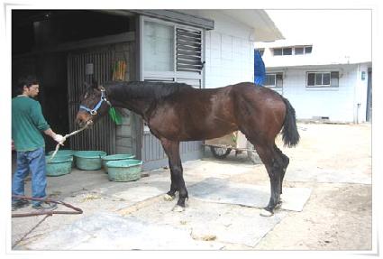 ���ڿ� ����