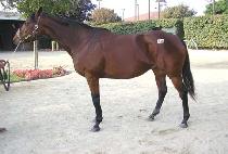 TOUCH OF WHIMSY picture