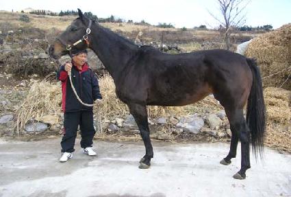 ������Ʈ��ġ ����