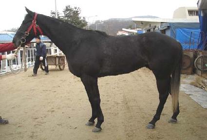 ��û ����