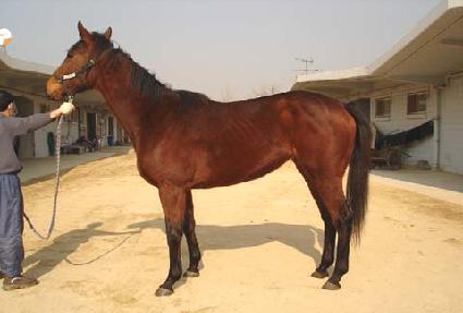 ���Ͻ�������Ʈ ����