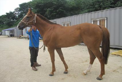 ��ս����� ����