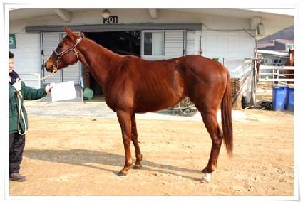 ���Ӻ��� ����