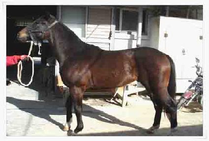 ��Ʈ������ ����