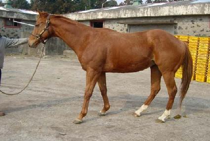 ��񽺴�Ŀ�� ����