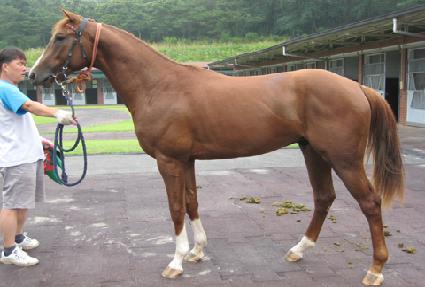 ��õ���� ����