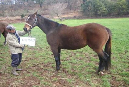 ����ũ���� ����