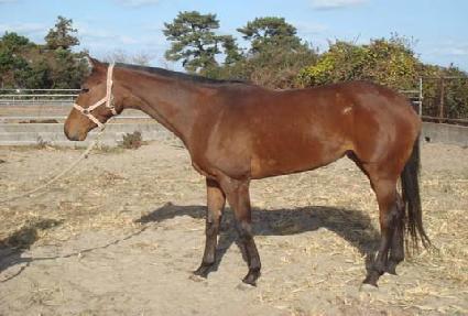 �̽����ػ罺 ����