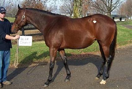 �����Ǹ� ����