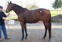 COZZIE MAXINE picture