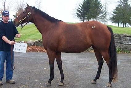 �Ŀ¸����� ����