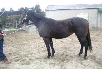 ��˷ξƷ��� ����