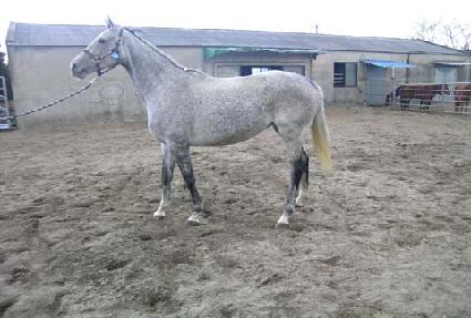 ��Ƽ�µ�Ƽ ����