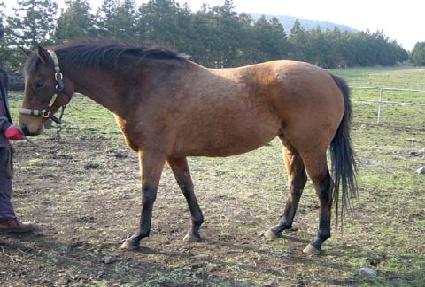 ��Ʈ��Ƽ ����