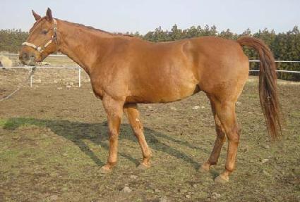 ��̷����� ����