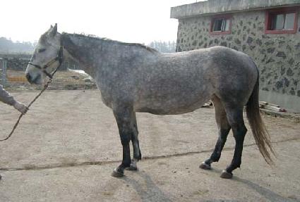 ��Ʈ���� ����