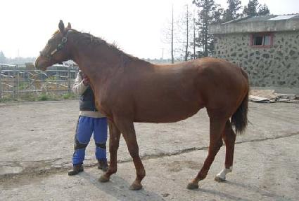 ���̾����ǻƼ ����