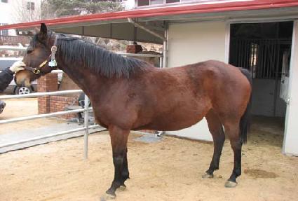 �����ÿ½ž��̽� ����