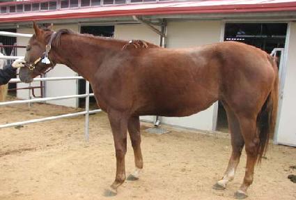 ���дϽõ����� ����