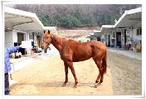 ��������ƾ (UL MOUNTAIN) ����