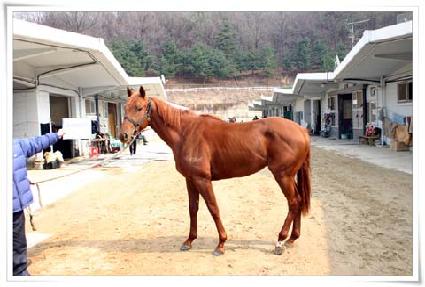 ��������ƾ ����