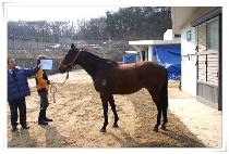 ���ǰ�õ (HAPPY GWACHEON) ����