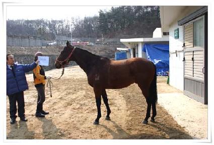 ���ǰ�õ ����