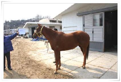 ���ǹڽ� ����