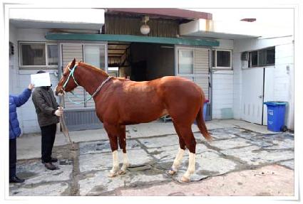 ���ǵ�ų�� ����